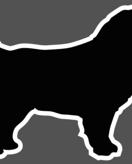 Sticker Silhouette Design "Terre-Neuve" – Édition Épurée
