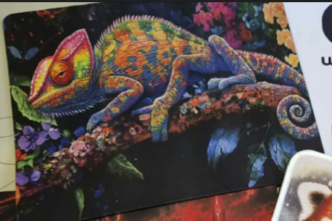 Tapis de souris personnalisé - Collection "Caméléon Multicolore"